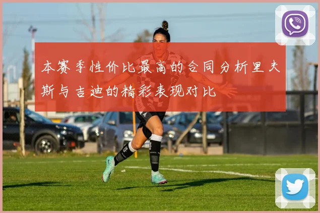 本赛季性价比最高的合同分析里夫斯与吉迪的精彩表现对比