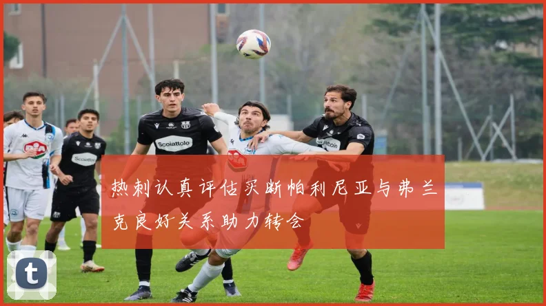 热刺认真评估买断帕利尼亚与弗兰克良好关系助力转会