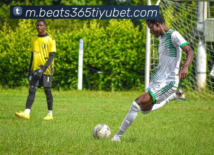 beats365体育服务体系